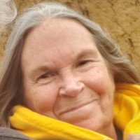 Julie Herrod