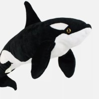Echo The Orca
