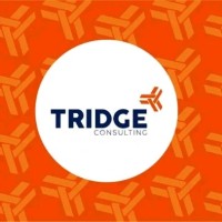 Tridgeconsulting Tridgeconsulting