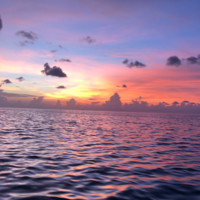 The Kelso Group Inc.