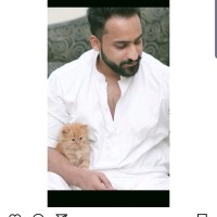 Rameez Siddiqui
