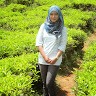 Dandy Kurnia