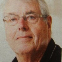 Hans Wegman