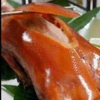 陈海勃