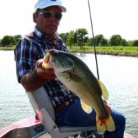 Terry Bivins