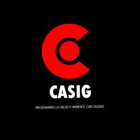 Consultores Auditores