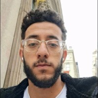 Mohamed Osman Abdelghany