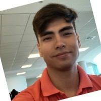 Luis Octavio Antelo Mansilla