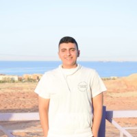 Elsayed Elkady