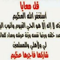 ‫محمد غريب‬‎