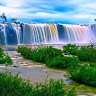 Natural World