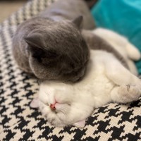 黄珊珊