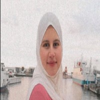 Alaa Ahmed