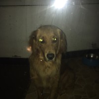 姚胜华