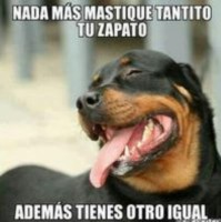 Da Ha