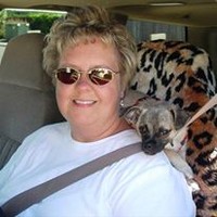 Pam McHugh