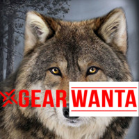 Wolf car seat covers Gear Wanta