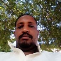 يوسف الصواردي