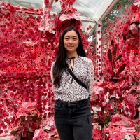 Lynn Chan