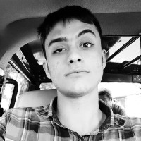 Alireza Salimonnafse
