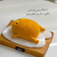 Mohammad HN