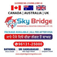 Skybridge Immigration Consultant