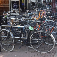 צפריר סנדרוביץ׳