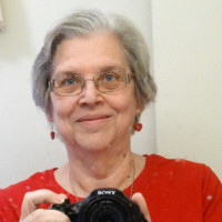 Dorothy Everett