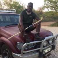 Dennis Machethe