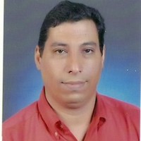 Amr Ali