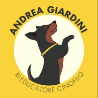 Andrea Giardini