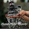 mca Land Surveyor