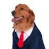Good Boy