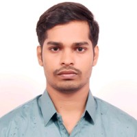 Avadhesh Singh Rajoriya
