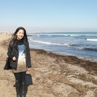 Xia bing