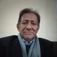 Manuel Jesus San Roman Rosario