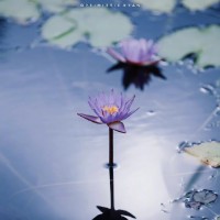 Joseph Luo