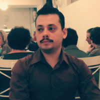 Vinicius Verissimo Ramos