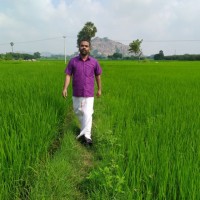 Venky S