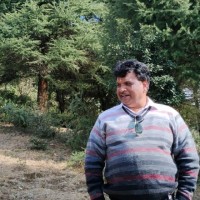 Anil Sah
