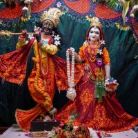 Manoj Mishra