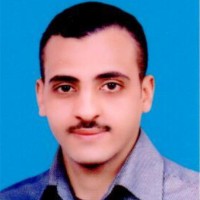 Hussam Eldin Ibrahim