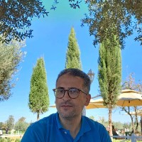 Issam Mabrouki, Dr. Eng.