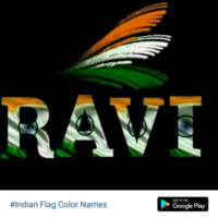 Ravi Shanker