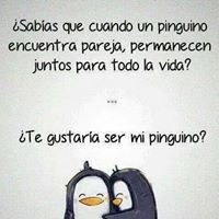 Gansito Castillo