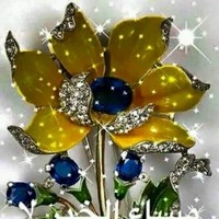 Nour Shames