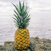 Android Piña