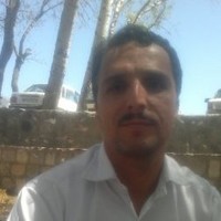 Hadi Ameli