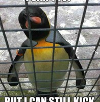 Mikey Birdsong