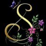 Sadia Amjad